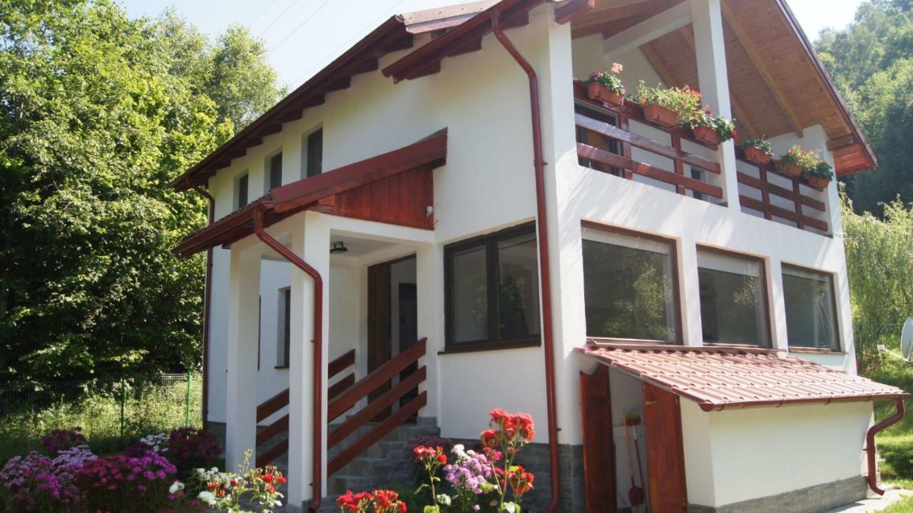Cabana Nisipoasa ริวเดมอรี ภายนอก รูปภาพ